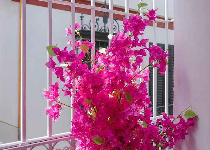 Feria Corner